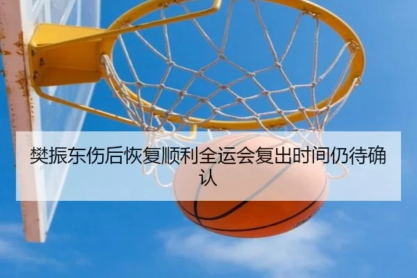樊振东伤后恢复顺利全运会复出时间仍待确认